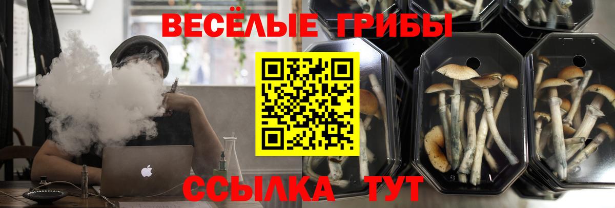 Галлюциногенные грибы мухоморы Ирбит