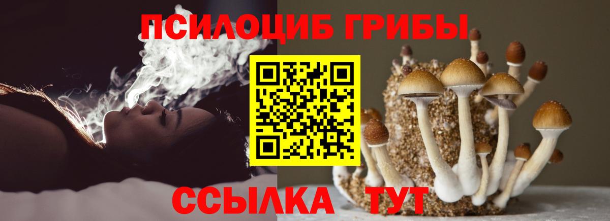 Псилоцибиновые грибы мухоморы  Вход с VPN  Галлюциногенные грибы Psilocybe  Ирбит 